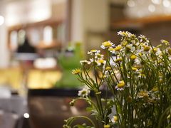 -雕刻时光咖啡馆(交大店)