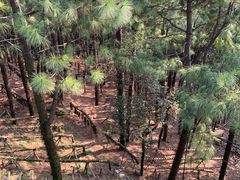 -达蓬山旅游度假区