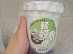 雪燕椰椰冰-炖物24章·顺时轻养茶(杭州保利时光里店)