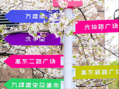 -高东镇樱花园
