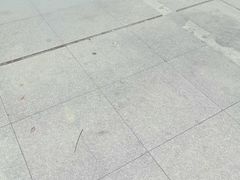 -索拉古贝(义乌北苑店)