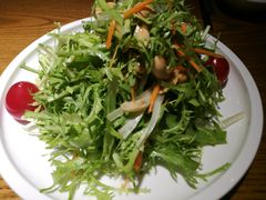 果碎苦菊-船歌·鱼水饺青岛菜(金狮广场店)