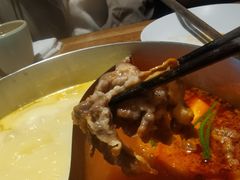 -青瓷火锅料理(西单大悦城店)