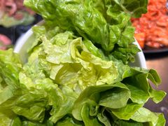 -燚青春东北泥炉烤肉(百合店)