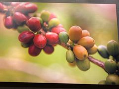 -星巴克(福州大洋百货分店)