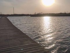 -盐城丹顶鹤湿地生态旅游区