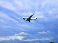 -空港花田景区