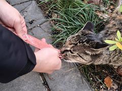 -浙江大学(玉泉校区)