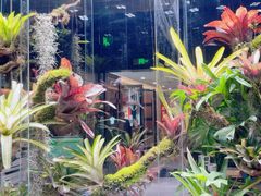 -扶摇湘宴·烤鸭·湘粤宴(中关村·北大店)