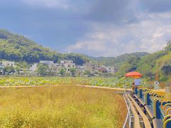 -红山村