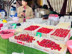 -南坛综合农贸市场