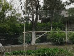-武汉园博园(武汉自然博物馆)