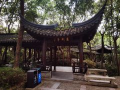 -上海佘山国家森林公园天马山园