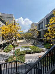 -KISS U 国际美学