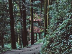 -青城山