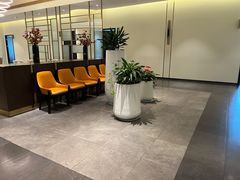 -张生记(丁香国际店)