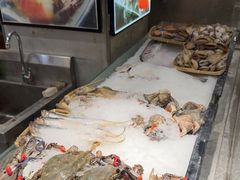 -渔娘渔家丹东海鲜(东直门店)