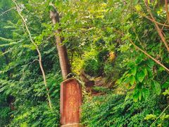 -龙泉洞(沙坪坝区)
