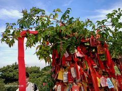 -香山公园