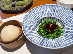 -觀芷隐轩