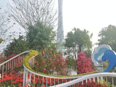 -海心沙亚运公园