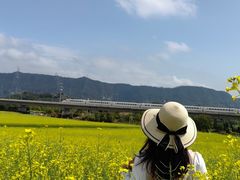 -光明小镇欢乐田园