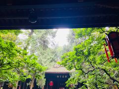 -成都武侯祠博物馆