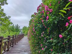 -常德桃花源景区