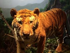 -陕西自然博物馆