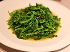 -翠府(翠湖北路店)