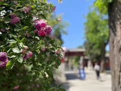 -北京石刻艺术博物馆
