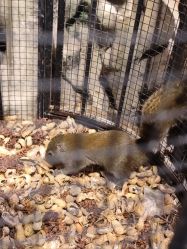 -酷嗒动物文化乐园(cutezoo西溪乐天城店)