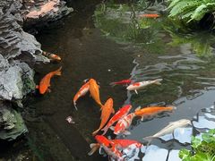 -广州白天鹅宾馆