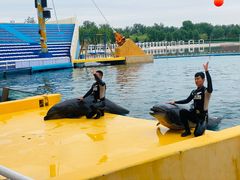 -秦皇岛乐岛海洋王国