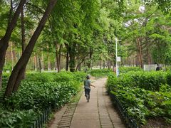 -黑龙江省森林植物园