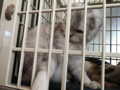 -情忆草原涮肉馆