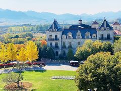 -北京张裕爱斐堡酒庄