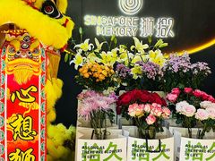 -狮拾久·现代新加坡料理(福田COCO Park店)