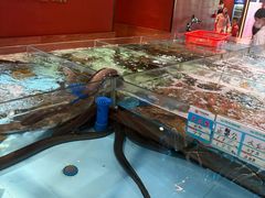 -阿伟海鲜楼·福建菜(延寿店)