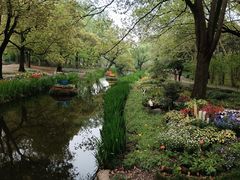 -上海共青森林公园