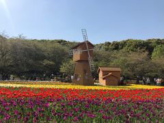 -苏州上方山国家森林公园