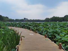 -郭守敬纪念馆