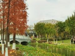 -映月湖公园