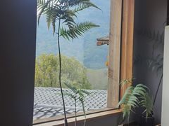 -宴武夷·匠心闽味(印象大红袍店)
