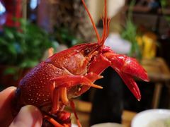 -可可大虾武汉土菜大排档(万松园1店)