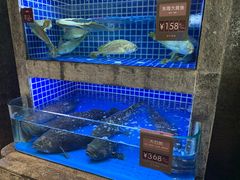 水产区-徐记海鲜(梅溪新天地店)