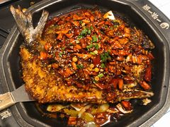 山城香辣烤鱼-一味一诚烤鱼(昌平悦荟店)