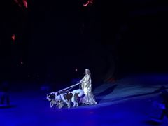 -珠海横琴长隆《卡卡虎奇遇记》