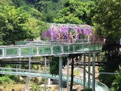-广东天露山旅游度假区