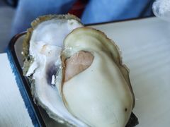 高压锅生蚝-琼大师东方烤乳猪(亚特兰蒂斯店)